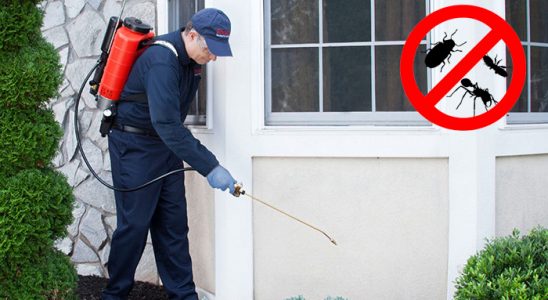 Karapürçek Gümüşkurt İlaçlama böcek ilaçlama ve haşere kontrolü — ilaclama-tr.com